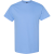Carolina Blue