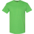 Electric Green