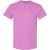 Heather Radiant Orchid
