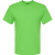 Vivid Lime 4800