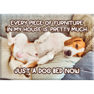 JBM-234 Dog Bed