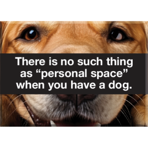JBM-280 Personal Space/Dog