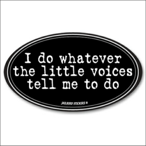 S-050 Voices