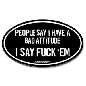 S-355 Bad Attitude