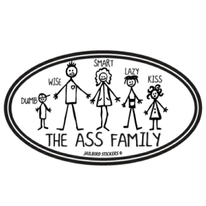 S-381 Ass Family