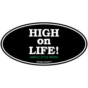 S-504 High on Life