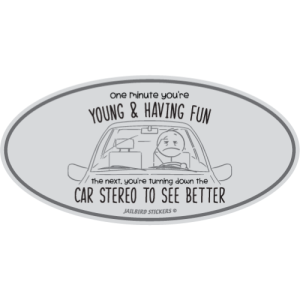 S-513 Car Stereo