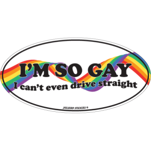 S-557 I'm So Gay