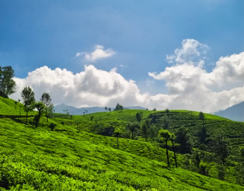 Munnar