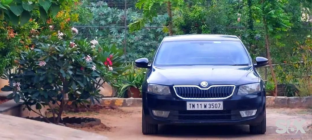 SKODA Octavia 20-tdi-mt-ambition Used cars in Coimbatore