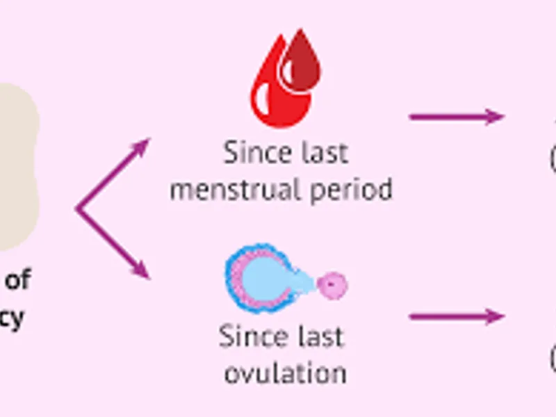 How Long Pregnancy Can Safely Continue After Due Date
