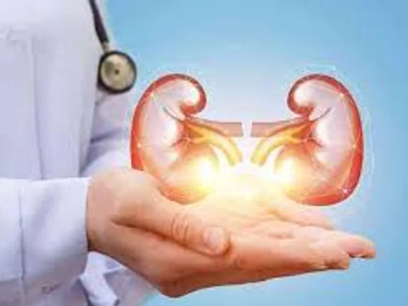 Kidney Transplant in Bokaro: Your Guide to a New Life