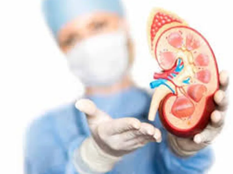 Renal Specialist Bokaro: Find Expert Kidney Care Near You