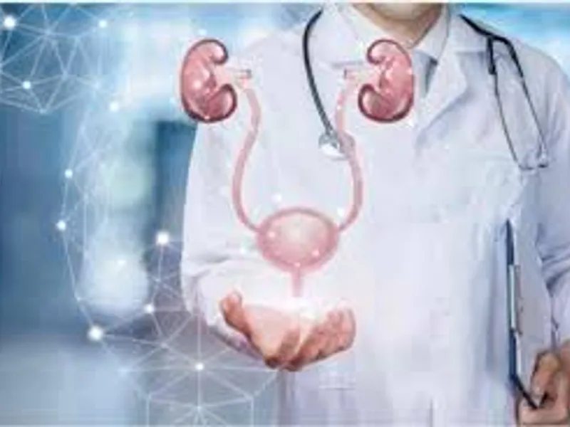 Top Nephrologists in Bokaro: Finding the Best Kidney Care