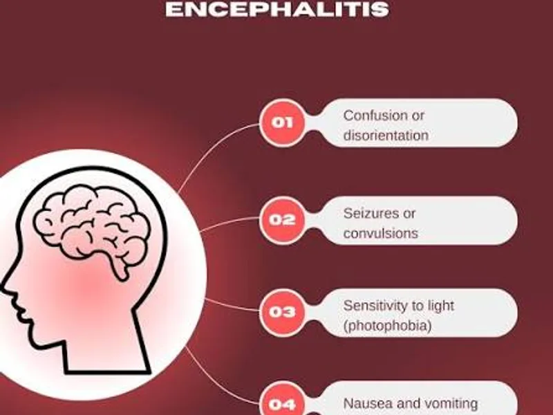 Encephalitis: Causes, Symptoms, Diagnosis & Treatment