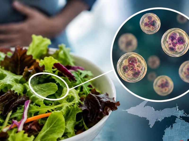 Cyclospora Parasite: What It Is, Symptoms, and How to Stay Safe