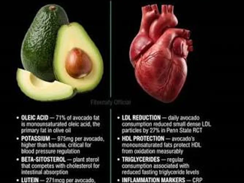 An Avocado a Day: What the Cholesterol Studies Really Show