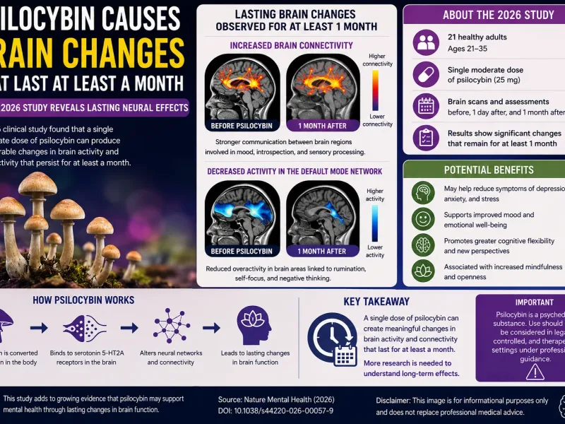 Psilocybin Brain Changes: What Lasts a Month and Why