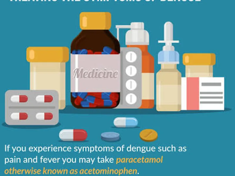Medication for Dengue: What Actually Helps
