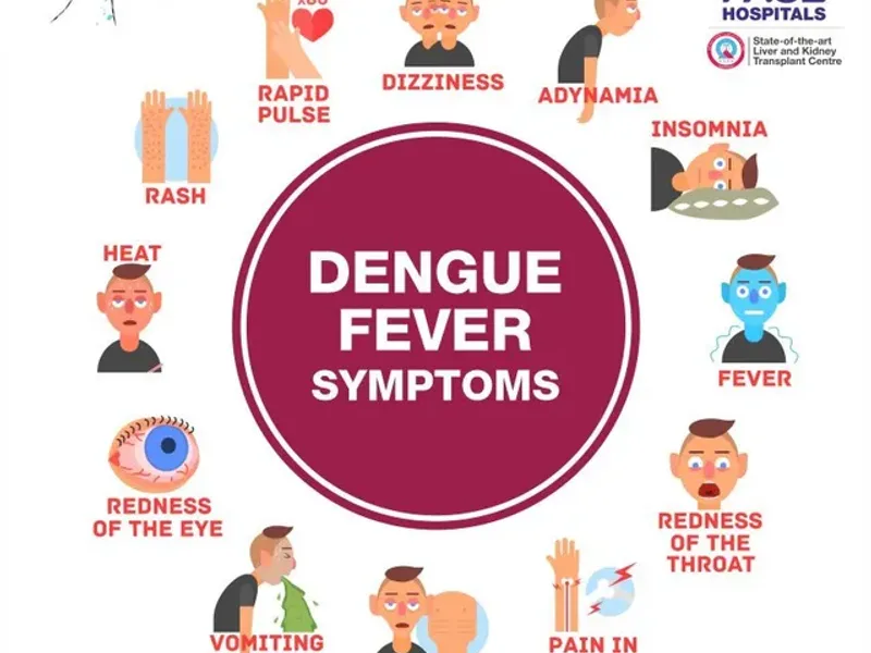 How Long Does Dengue Last? A Realistic Timeline