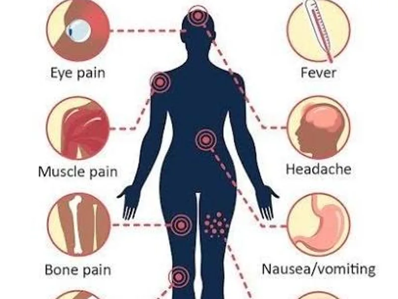 Dengue Recovery Time: What to Expect Week by Week