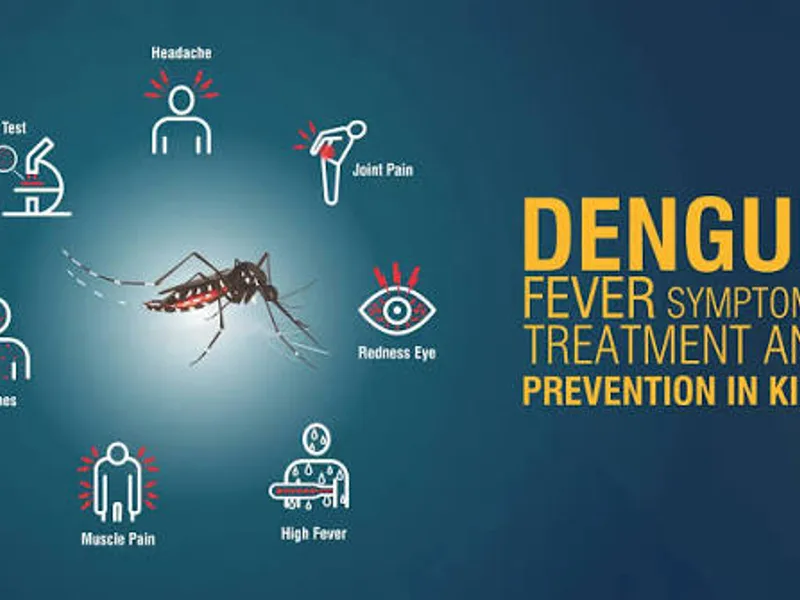 Is Dengue Curable? What "No Cure" Actually Means