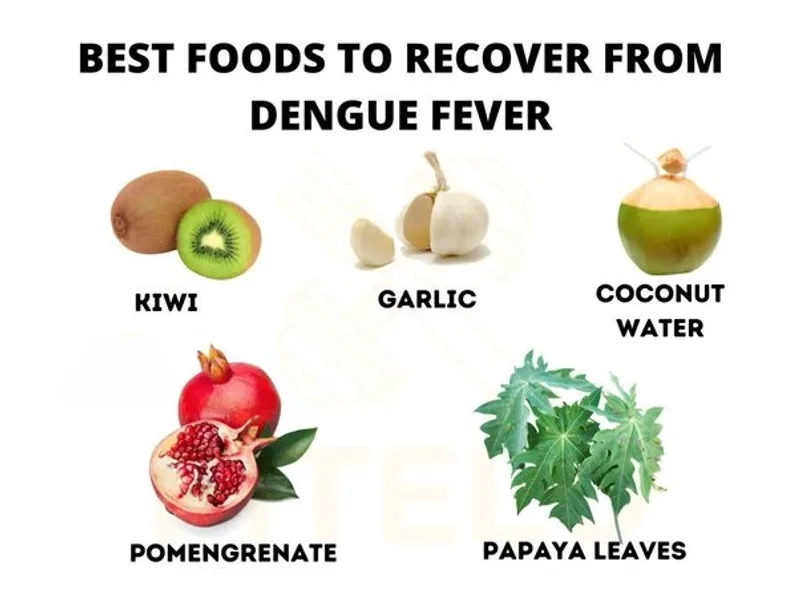 Foods to Avoid With Dengue and Why They Matter