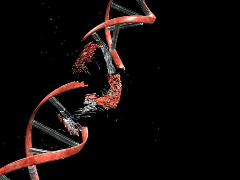 Cancer Cells Break Their Own DNA: New Study Explained