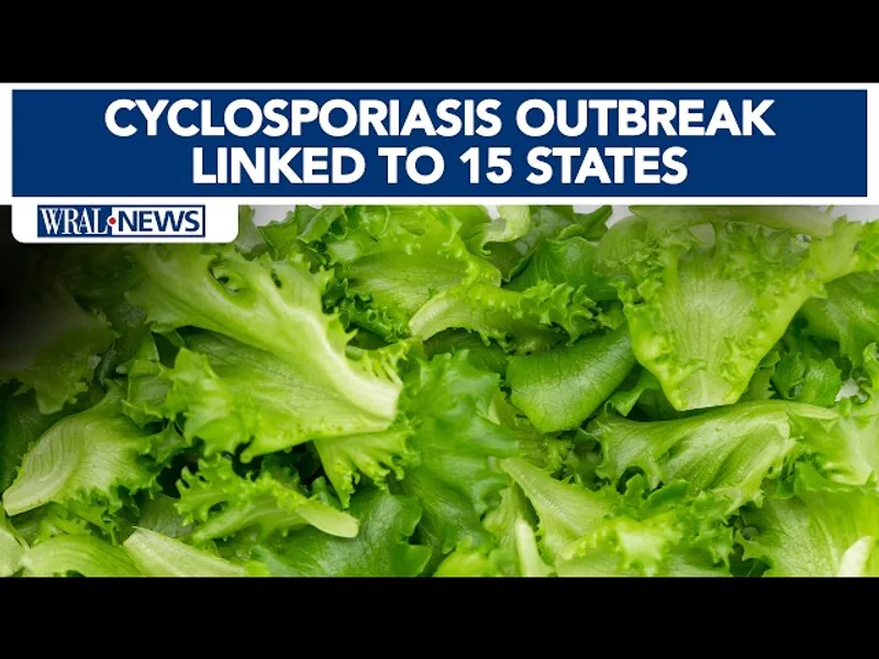 Cyclosporiasis Outbreak Tied to Taco Bell Lettuce Grows