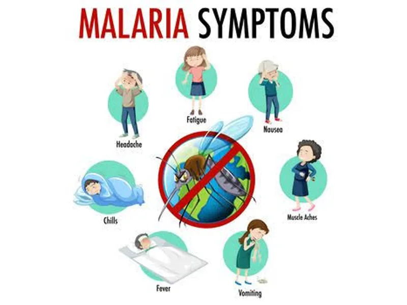 Malaria Treatment: What Actually Works, Explained Simply