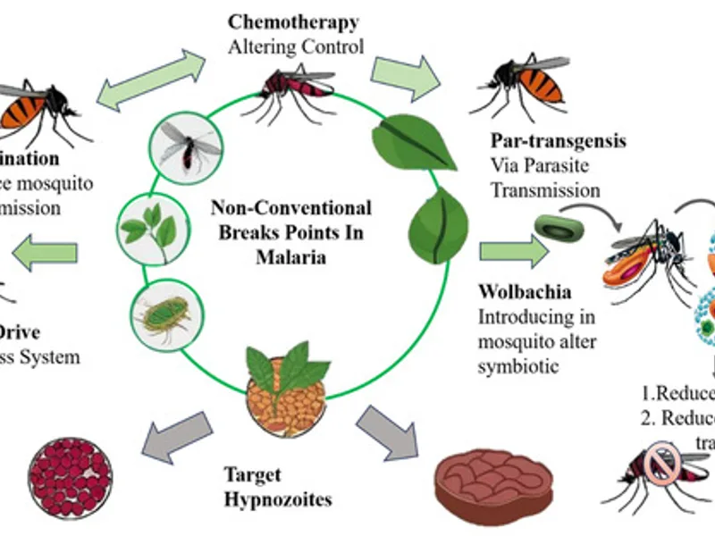 Home Remedies for Malaria: What Really Helps