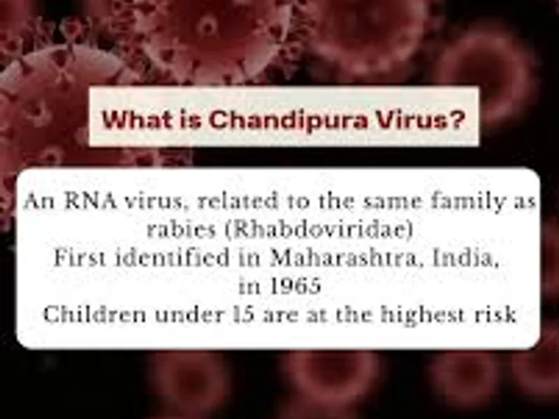 Chandipura Virus Outbreak: What Parents in India Need to Know