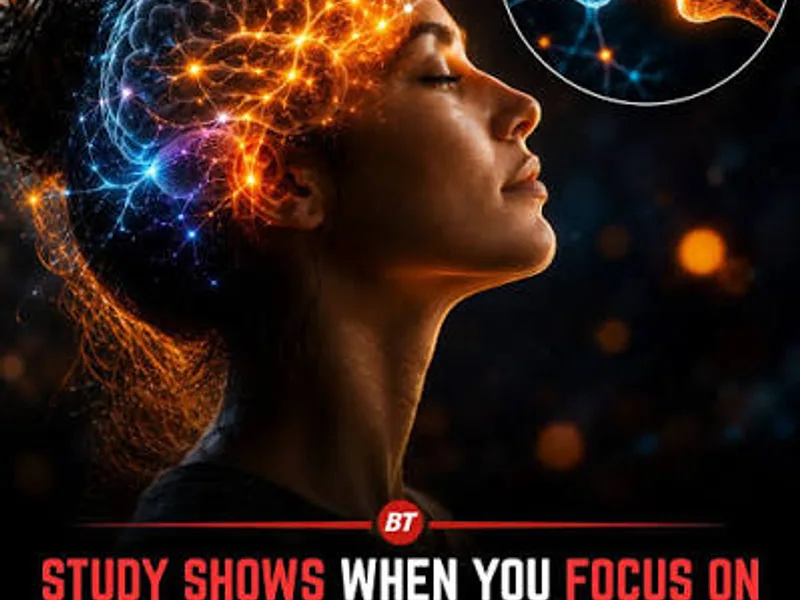 Neuroplasticity Retreat Studies: What the Research Shows