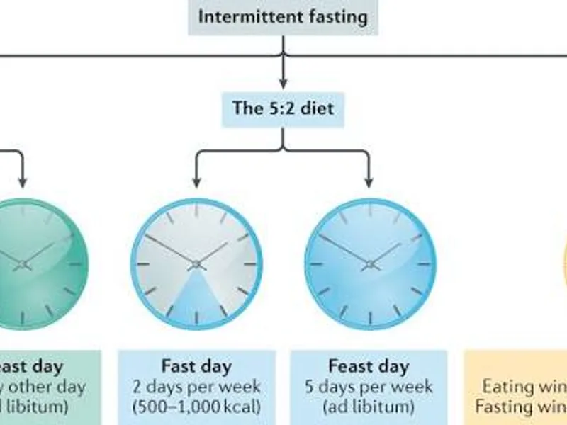 7 Intermittent Fasting Methods Compared: Which Is Best for You?