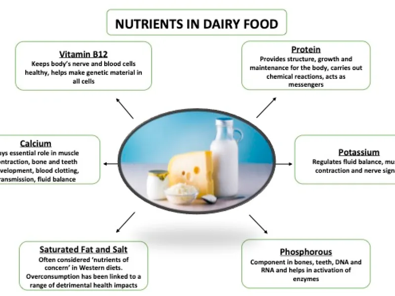 Full-Fat Dairy Health Study: What New Research Shows
