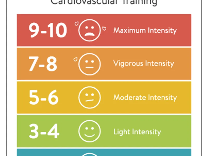 Moderate Exercise Heart Protection Limits: Is There a Ceiling?