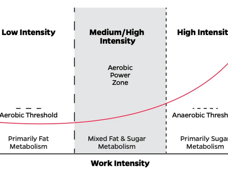 Cardiovascular Exercise Threshold: What It Really Means