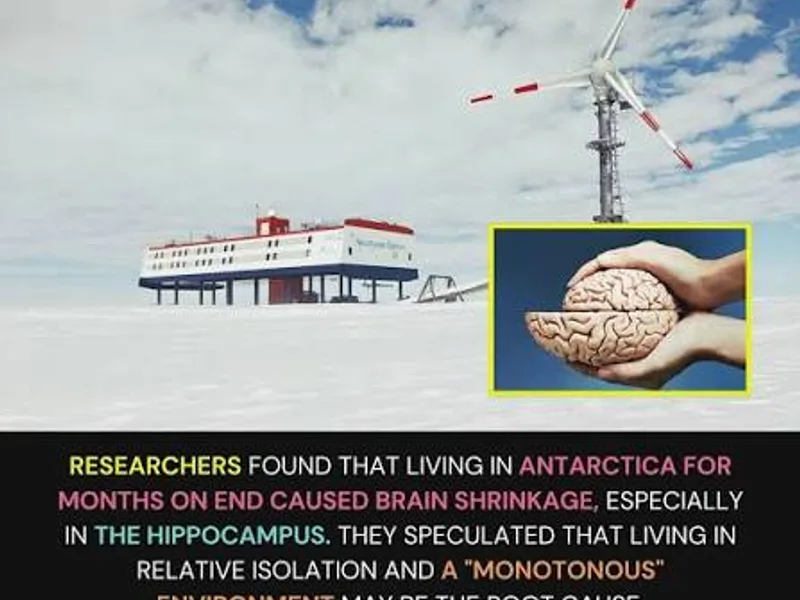 Isolation Psychology: What Antarctica Studies Reveal
