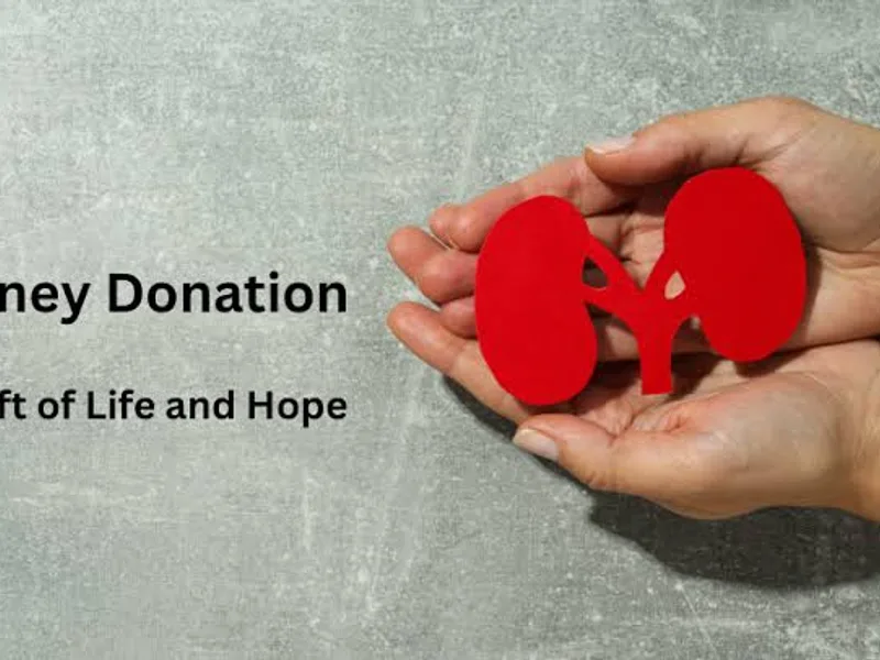 Kidney Donor Awareness Drive: What You Should Know Before Donating