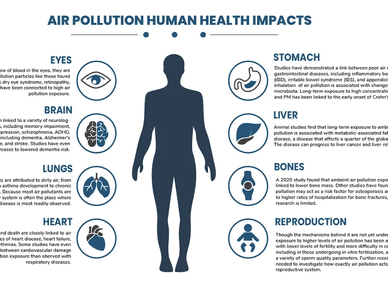 Air Pollution Health Effects