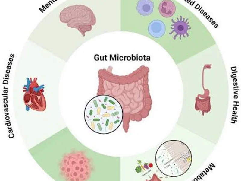 Gut Health and the Microbiome
