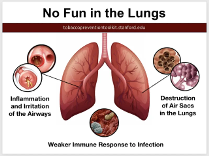E-Cigarette Health Risks: What Vaping Can Do