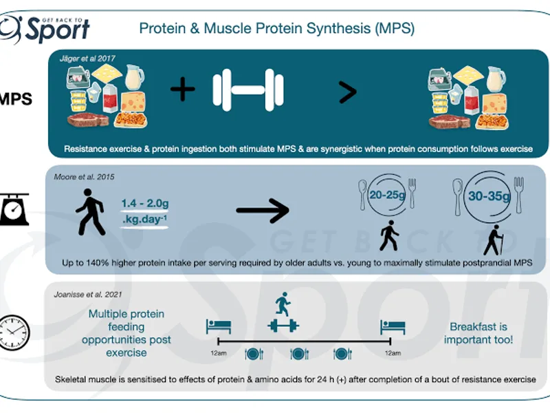 Protein Intake for Muscle Building