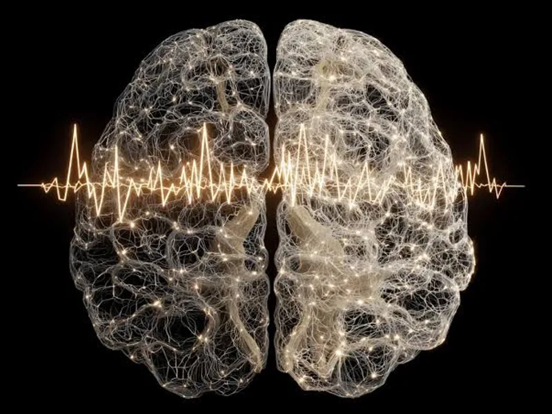 Brain network electrical rhythm