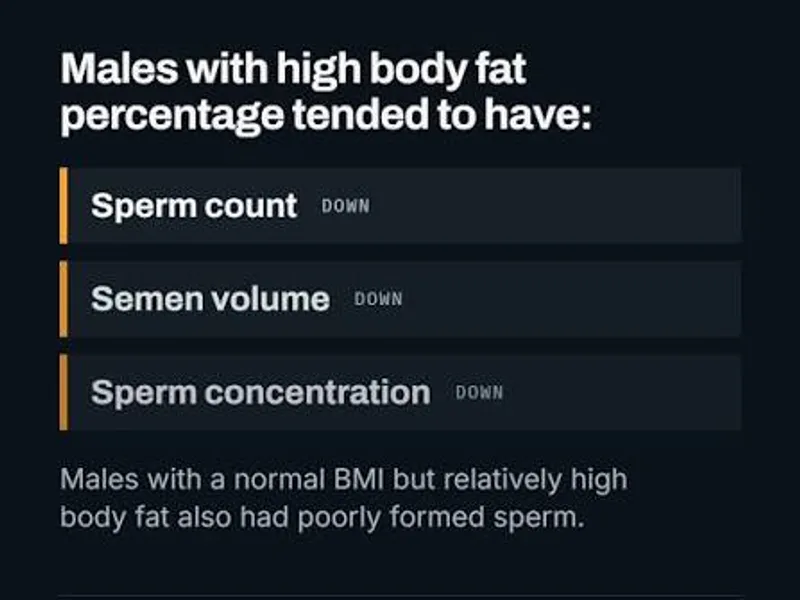 Body Fat and Sperm Count: What New Research Shows