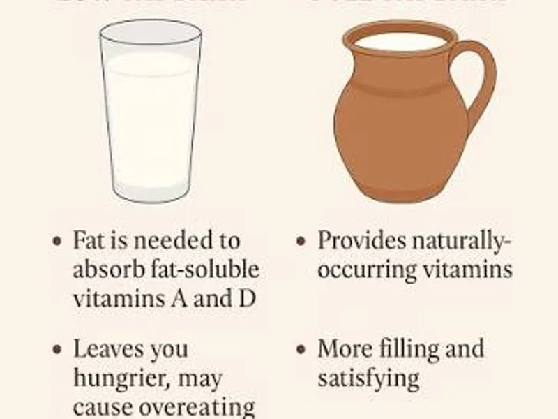 Low-Fat Dairy Myth: What the Evidence Says