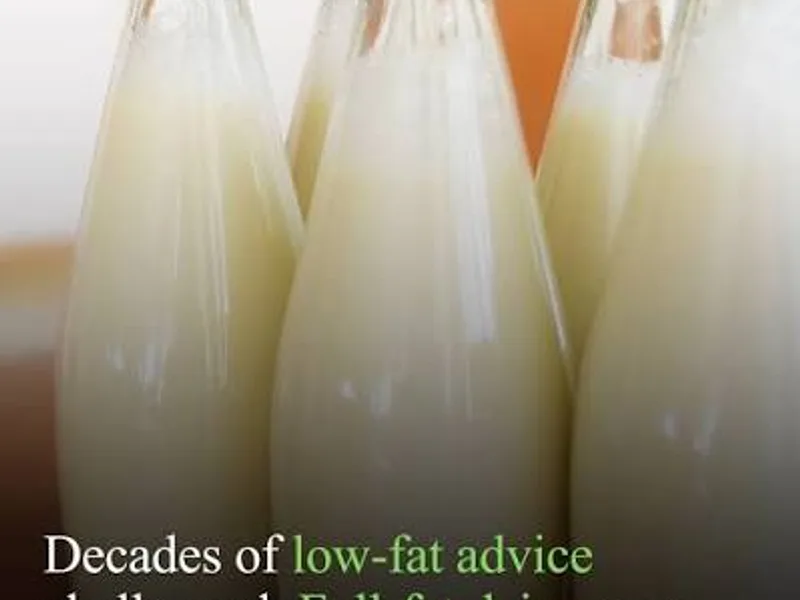 Full-Fat Dairy Comeback: What the Evidence Says
