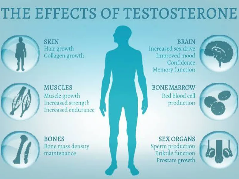 TRT side effects and risks