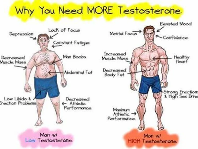 Estrogen imbalance in men