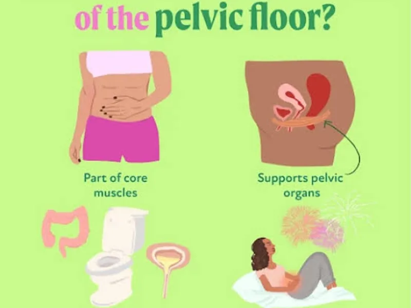 Pelvic Floor Dysfunction: Causes, Symptoms, and Relief